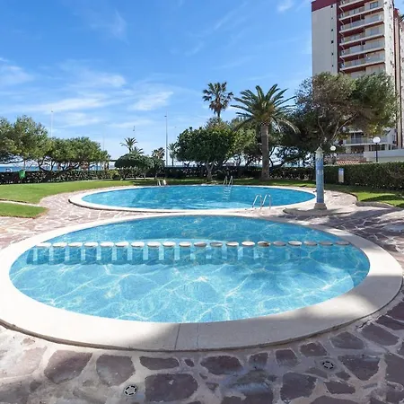 Ag Manila Premium * Playa de Gandia